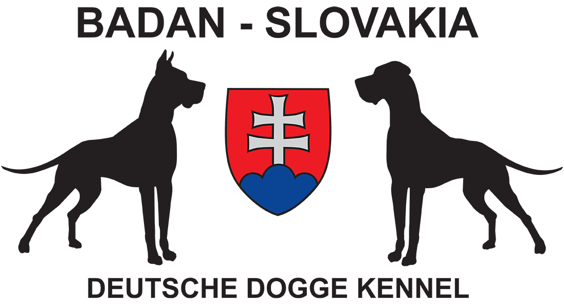 badan-slovakia, chovateľská stanica nemeckej dogy